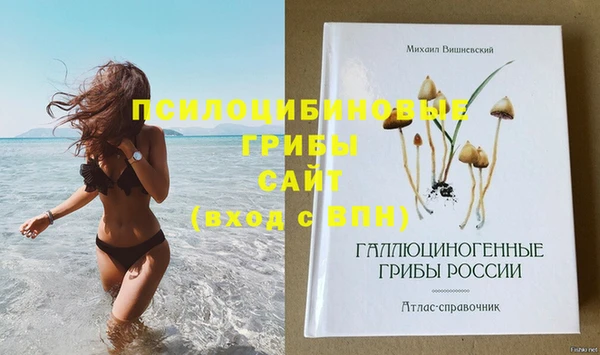гидропоника Кукмор
