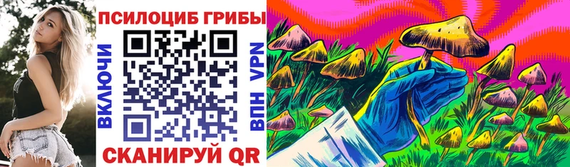 Псилоцибиновые грибы ЛСД  Купить закладки  Краснознаменск 